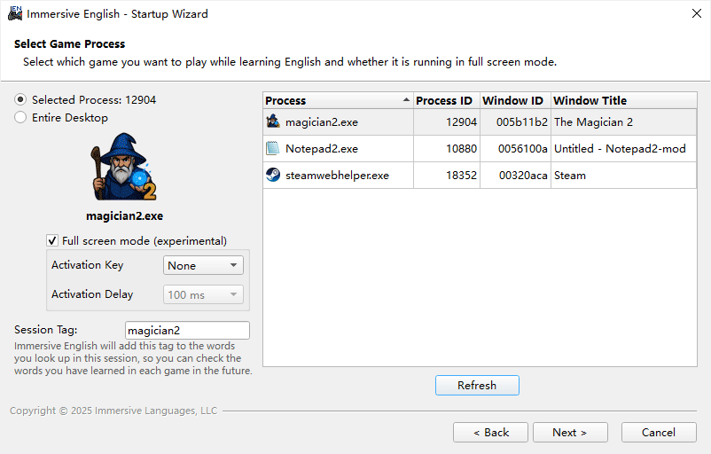 startup wizard: game process selected